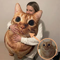 Custom Pet Pillow